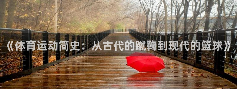 6t体育sports：《体育运动简史：从古代的蹴鞠到现代的篮球》