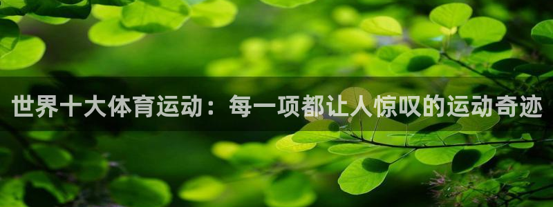 6t体育：世界十大体育运动：每一项都让人惊叹的运动奇迹