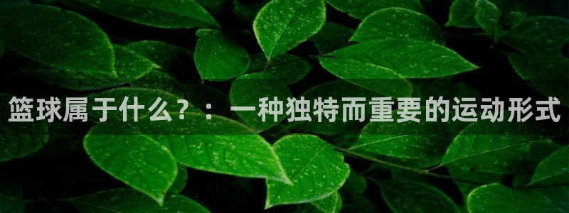 6T体育平台官网入口：篮球属于什么？：一种独特而重要的运动形式