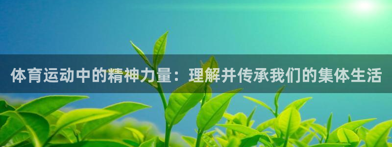 6t体育官方网站：体育运动中的精神力量：理解并传承我们的集体生活