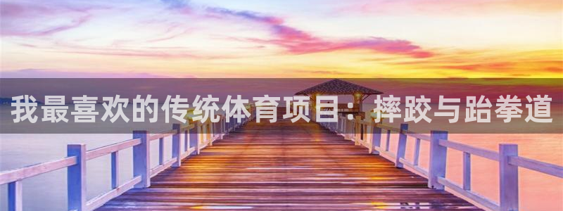 6t体育网站推荐：我最喜欢的传统体育项目：摔跤与跆拳道
