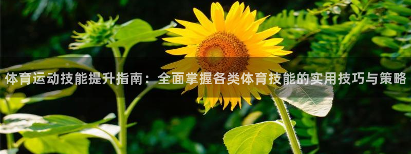 6t体育官网：体育运动技能提升指南：全面掌握各类体育技能的实用技巧与策略
