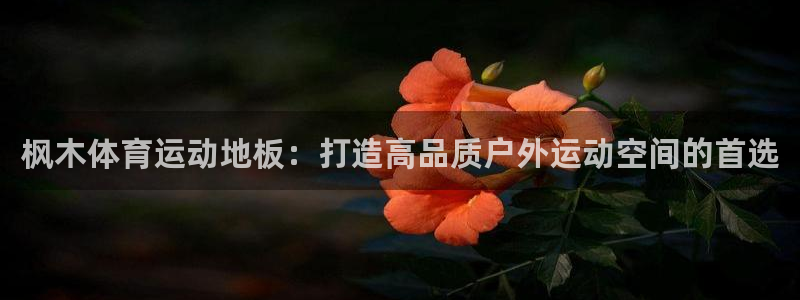6T体育m.6t05：枫木体育运动地板：打造高品质户外运动空间的首选