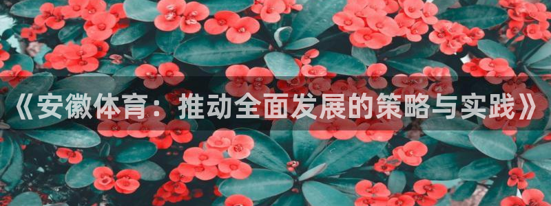 6t体育平台：《安徽体育：推动全面发展的策略与实践》