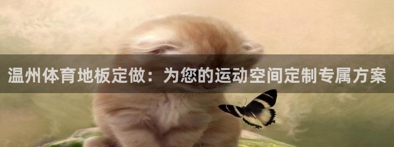 6t体育app：温州体育地板定做：为您的运动空间定制专属方案